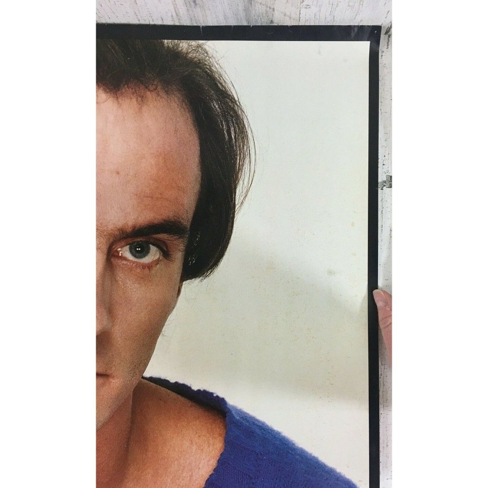 Vtg 1981 James Taylor Record Store Promo Poster Dad Loves His Work - Picture 10 of 12